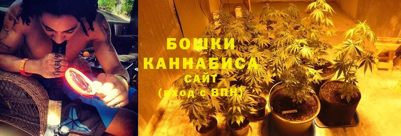 hydra как зайти  Беломорск  Конопля SATIVA & INDICA 